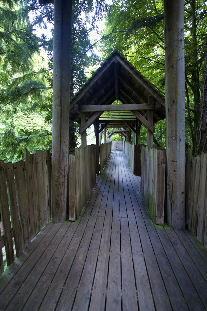 2 Days in Alnwick: The Perfect Northumberland Itinerary (2026) 3 Alnwick Garden Treehouse Walkway suspension bridge woodland