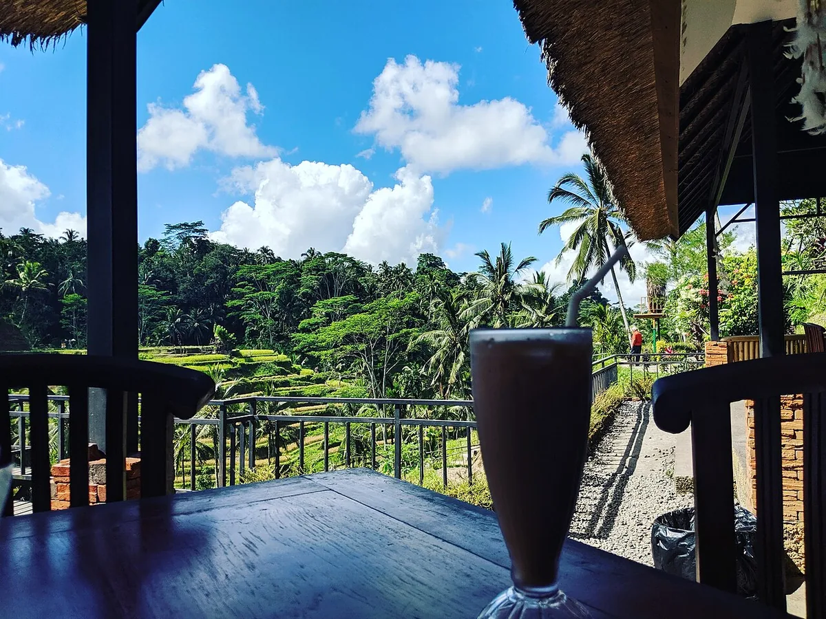 Best Places in Bali: Complete Area Guide (2026) 4 Tegallalang rice terraces Ubud Bali green terraced hillside subak irrigation