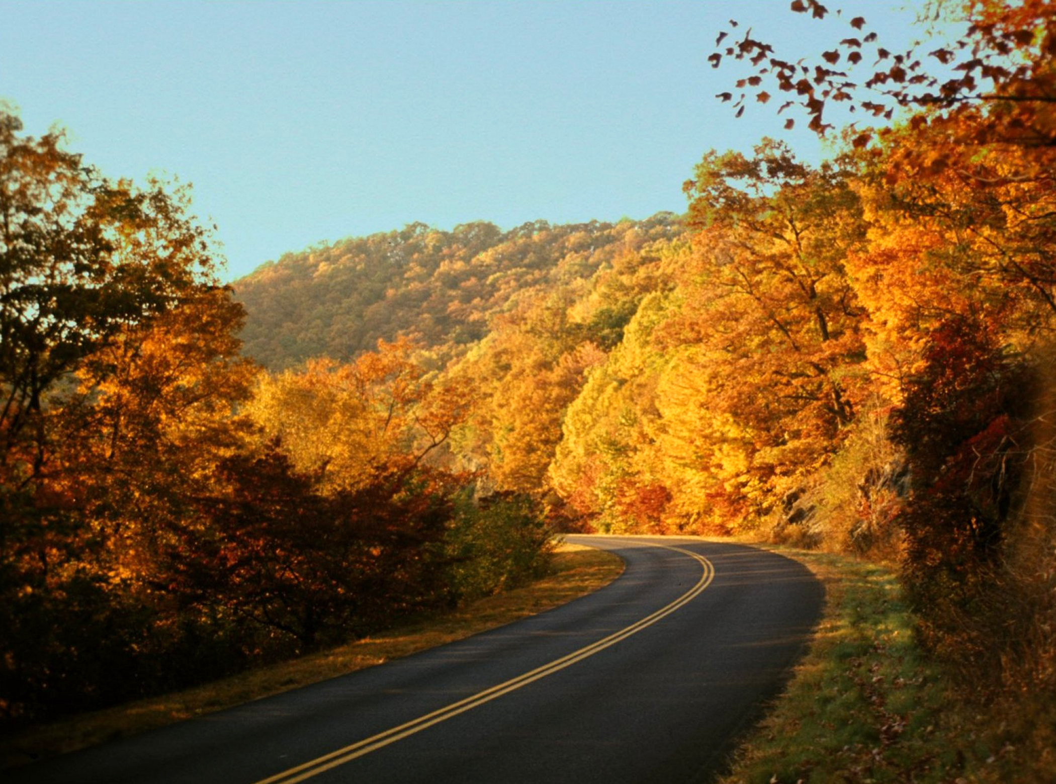 blue ridge fall foliage
