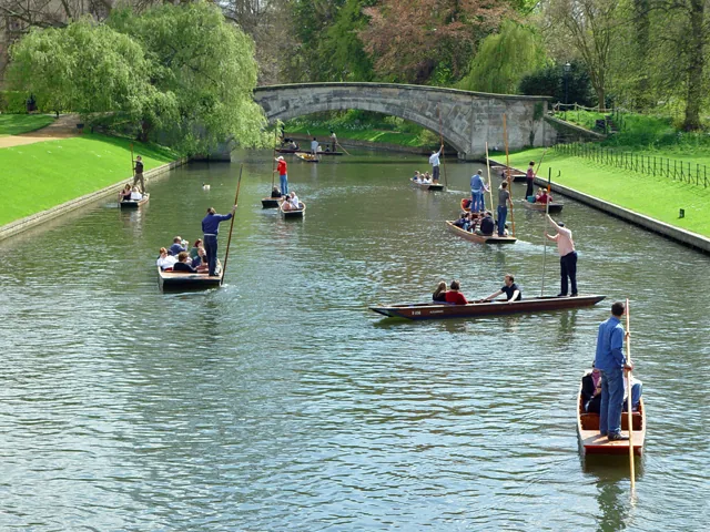Punting near King's Bridge Cambridge college backs punt