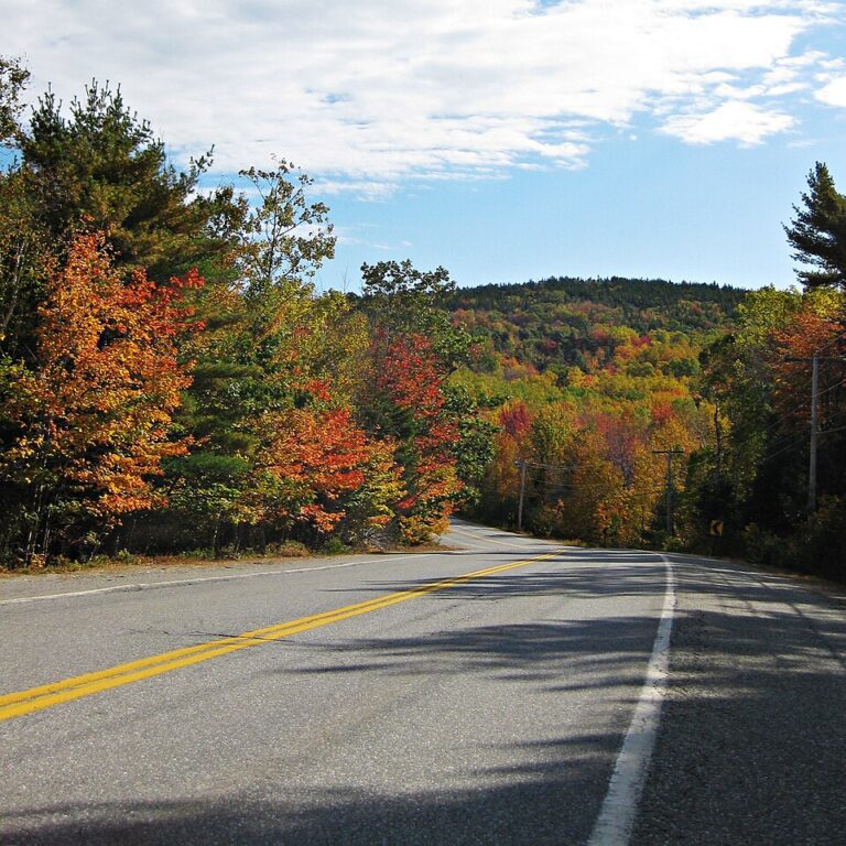 Things to Do in Bar Harbor in October (2026 Guide)