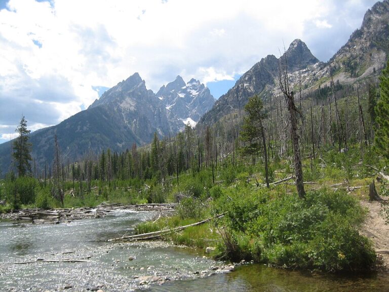 Jackson Hole Itinerary: 3 Days in Grand Teton & Beyond (2026)