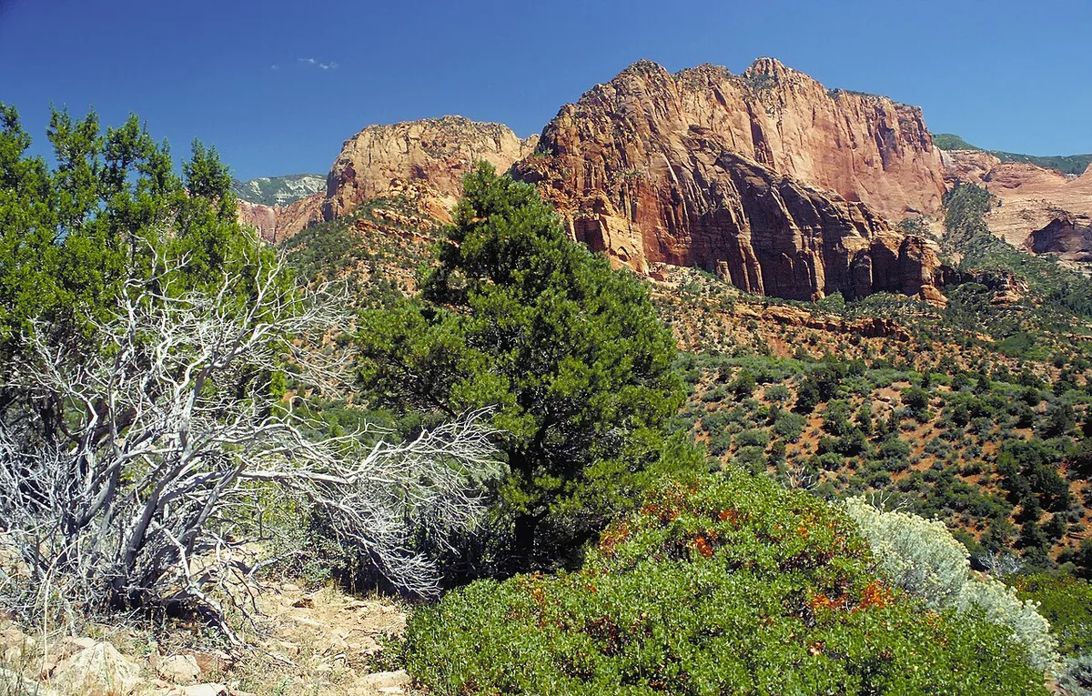 Zion National Park canyon Utah near Kanab accommodation base camp
