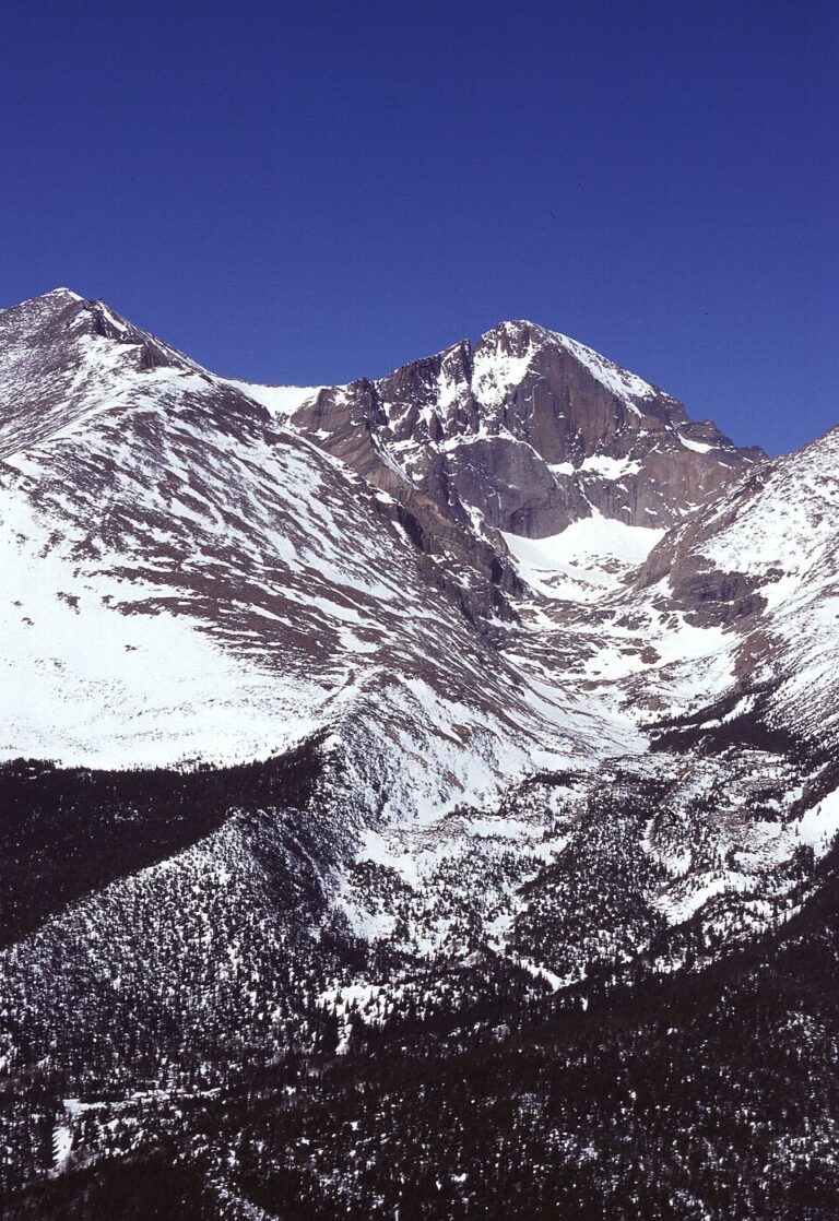 Best Cabins in Estes Park Colorado: Top Picks for 2026