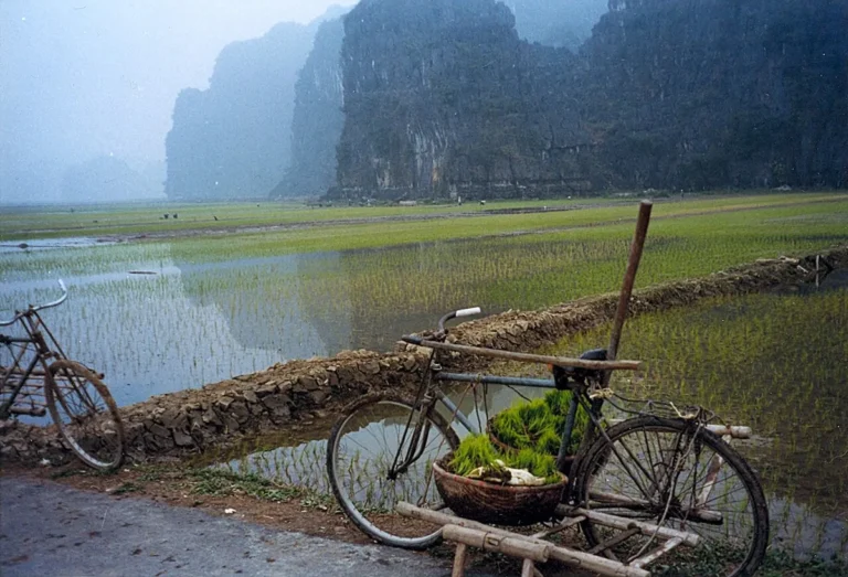 Tam Coc Ninh Binh Vietnam boat trip karst limestone best things to do