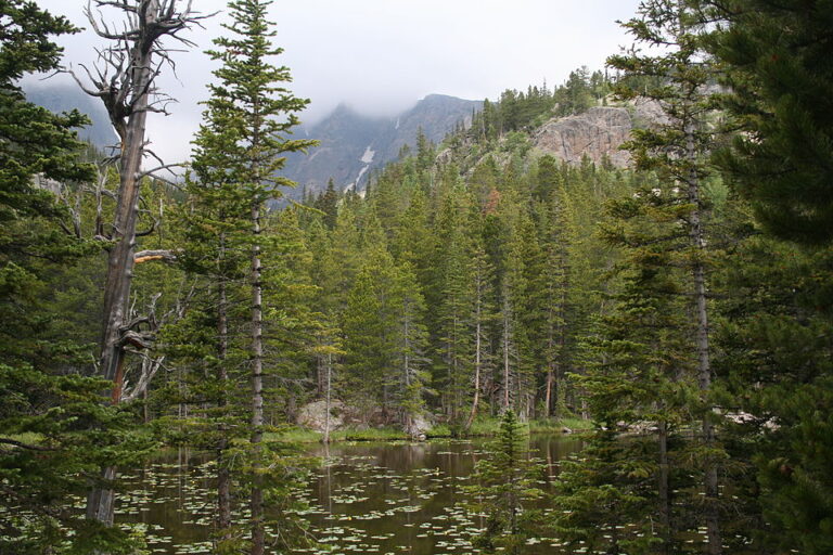 Estes Park Weekend Itinerary: 2 Perfect Days (2026)
