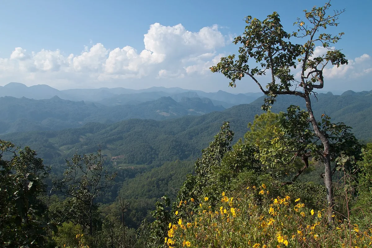 Mae Hong Son forested hills Pai Northern Thailand green mountains