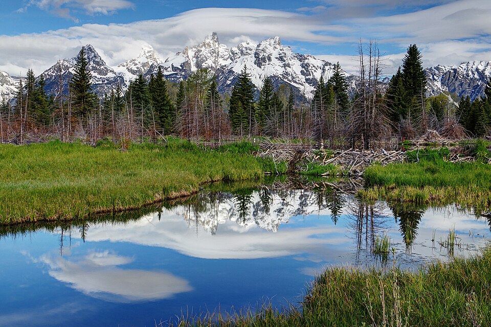 Schwabacher Landing Teton reflections Snake River morning calm