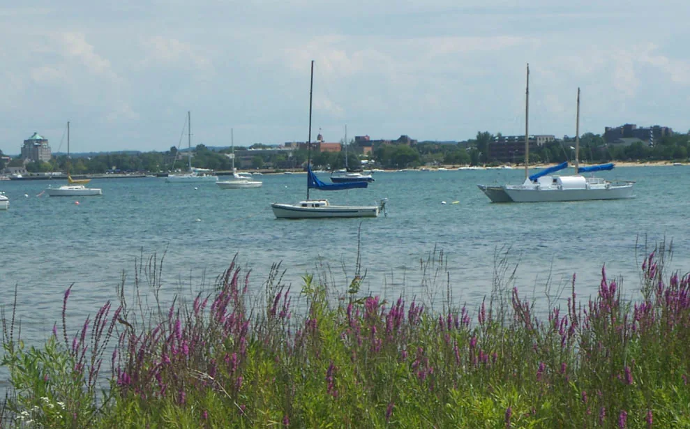 Best Things to Do in Traverse City, MI: Top Attractions (2026) 2 Traverse City Michigan waterfront downtown marina bay shops restaurants
