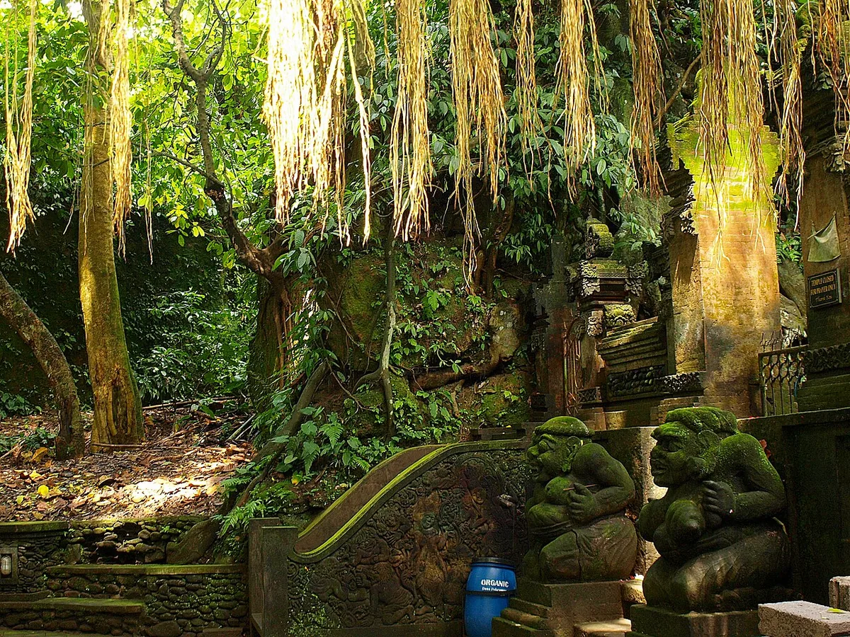 Monkey Forest Ubud Bali Indonesia hidden gem forest trail macaque